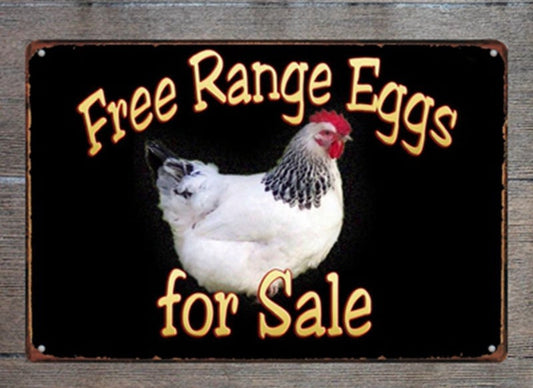 Free Range Eggs for Sale