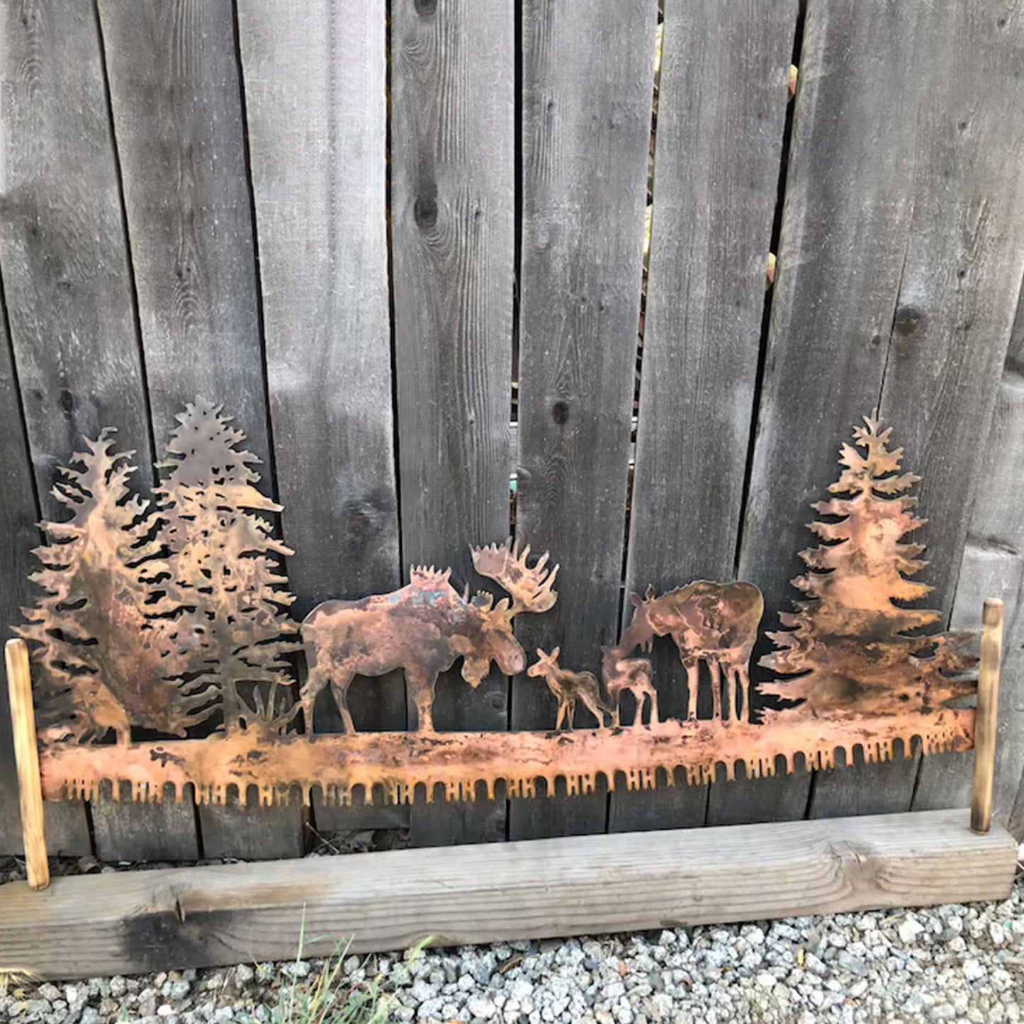 Moose on Cross-cut Saw