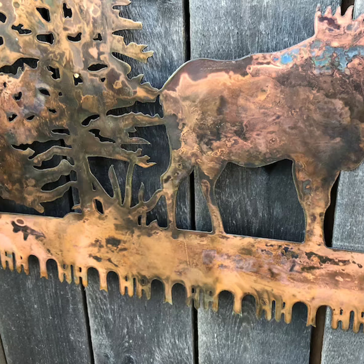 Moose on Cross-cut Saw